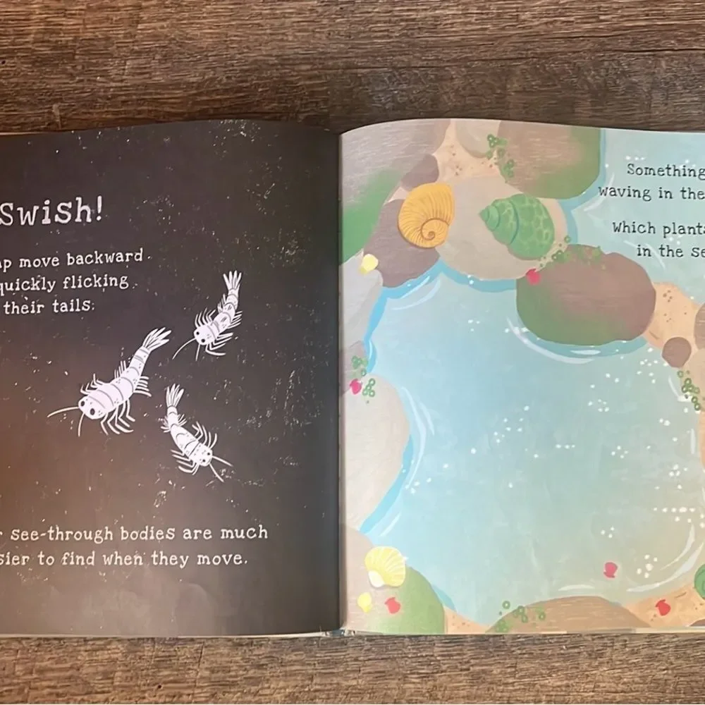 Usborne Secrets of the Seashore Shine-A-Light Kids Ocean Hardcover Book